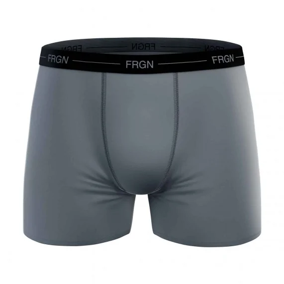 Set van 6 herenboxershorts in katoen FRGN (Herenboxershorts) Freegun chez FrenchMarket Set van 6 herenboxershorts in katoen FRGN (Herenboxershorts) Freegun chez FrenchMarket