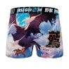 Boxer uomo "Aigle" in microfibra (Boxer da uomo) Freegun chez FrenchMarket