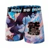 Aigle" Heren Microvezel Boxershort (Herenboxershorts) Freegun chez FrenchMarket