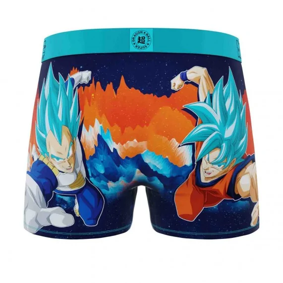 Dragon Ball Super 12 men's boxer shorts (Men's boxer shorts) Freegun on FrenchMarket