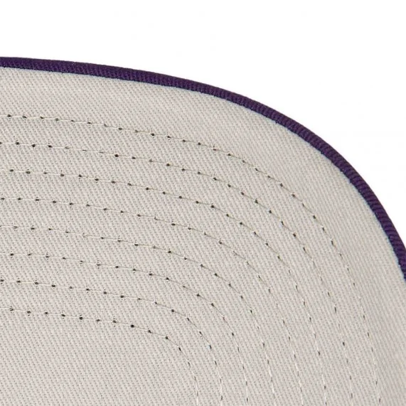 Evergreen Cappello Trucker in schiuma NBA Los Angeles Lakers (Cappello NBA) Mitchell & Ness chez FrenchMarket