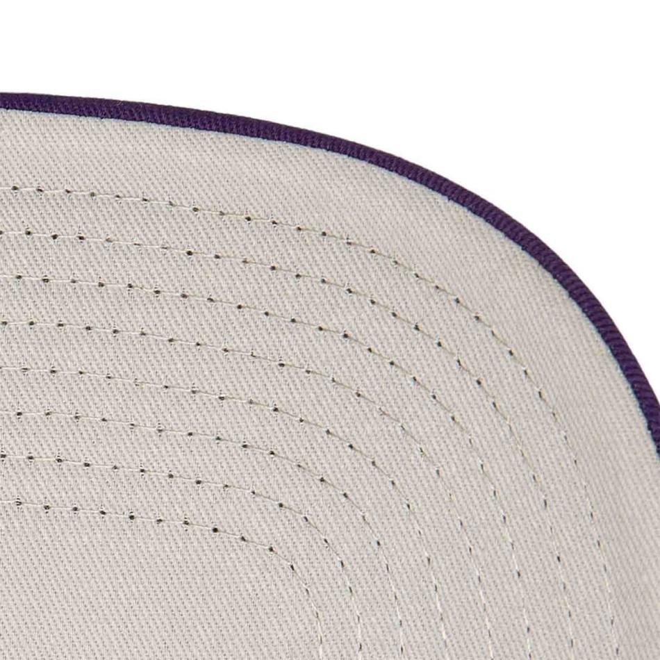 Evergreen Cappello Trucker in schiuma NBA Los Angeles Lakers (Cappello NBA) Mitchell & Ness chez FrenchMarket
