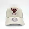 NBA Cappellino in schiuma Trucker Evergreen Chicago Bulls (Cappello NBA) Mitchell & Ness chez FrenchMarket