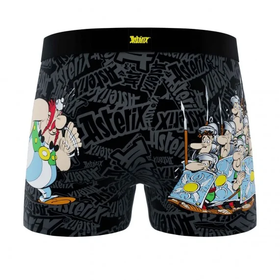 Calzoncillos bóxer de microfibra para hombre "Obelix (Calzoncillos para hombre) Freegun chez FrenchMarket