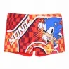 Sonic" Boy's Swimsuit (Swimwear) French Market on FrenchMarket