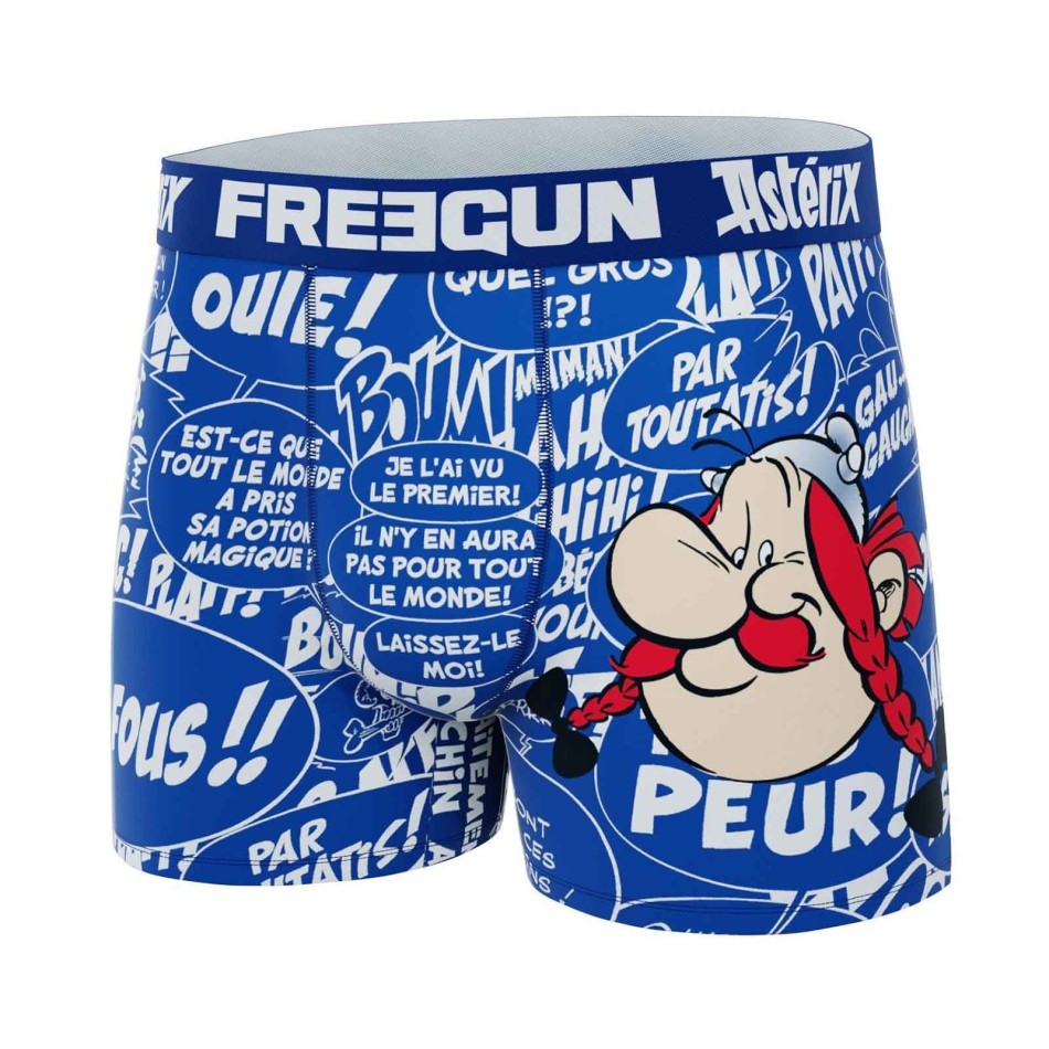 Set di 4 boxer in microfibra "Asterix e Obelix" per ragazzo (Confezione di boxer da ragazzo) Freegun chez FrenchMarket