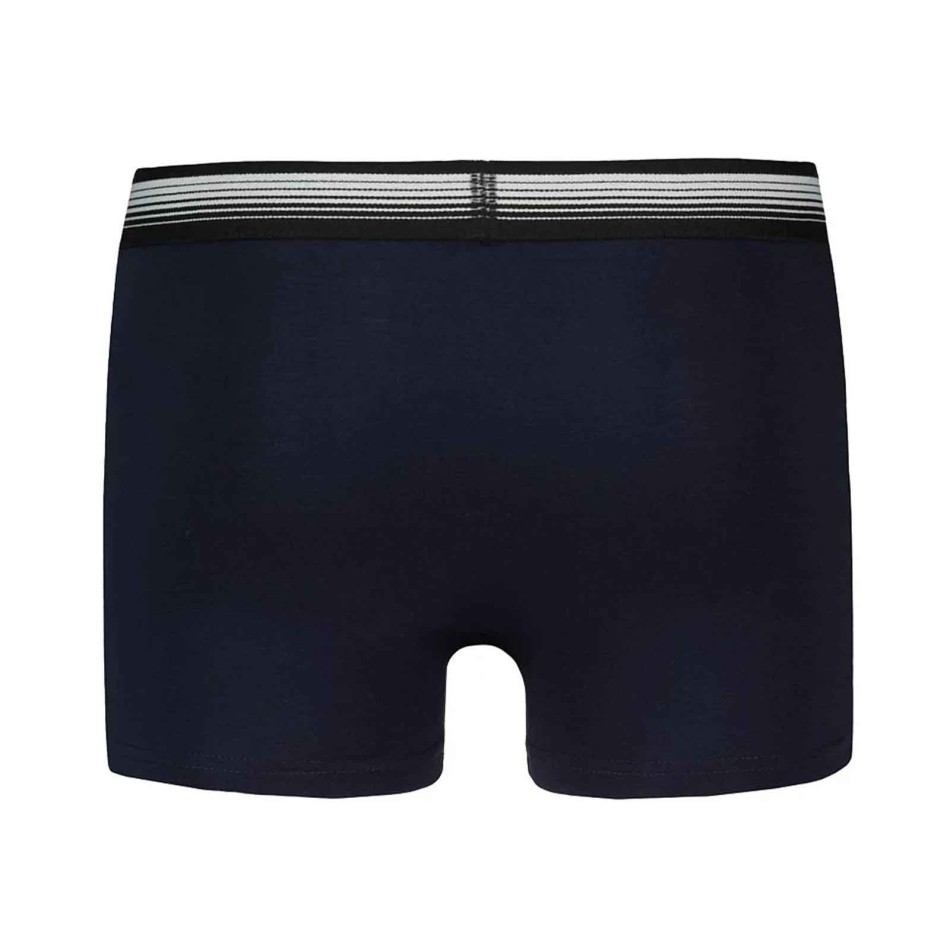 Set van 2 herenboxershorts van premium katoen (Herenboxershorts) Le Coq Sportif chez FrenchMarket