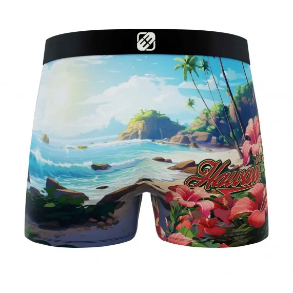 Boxer da uomo "Wild Summer" in microfibra (Boxer da uomo) Freegun chez FrenchMarket