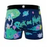 Rick and Morty herenboxershort van microvezel (Herenboxershorts) Freegun chez FrenchMarket