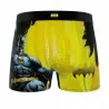 DC Comics Batman "DC24" Heren Boxershort (Herenboxershorts) Freegun chez FrenchMarket