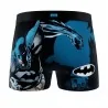 DC Comics Batman "DC24" Heren Boxershort (Herenboxershorts) Freegun chez FrenchMarket