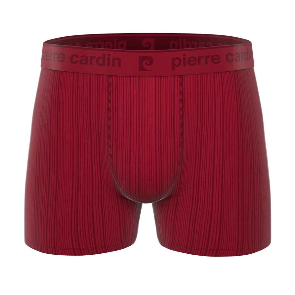 Lote de 4 calzoncillos bóxer de microfibra "Hormiga" para hombre (Calzoncillos para hombre) Pierre Cardin chez FrenchMarket