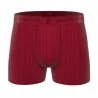 Set di 4 boxer "Ant" in microfibra per uomo (Boxer da uomo) Pierre Cardin chez FrenchMarket