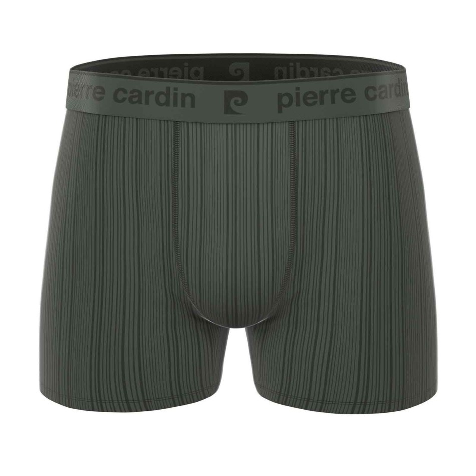 Set of 4 "Ant" Microfiber Boxers Pierre Cardin | Confort Homme