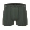 Set di 4 boxer "Ant" in microfibra per uomo (Boxer da uomo) Pierre Cardin chez FrenchMarket
