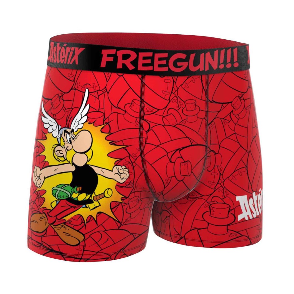 FREEGUN Lot de 4 Boxers Garçon Microfibre "Astérix et Obélix"