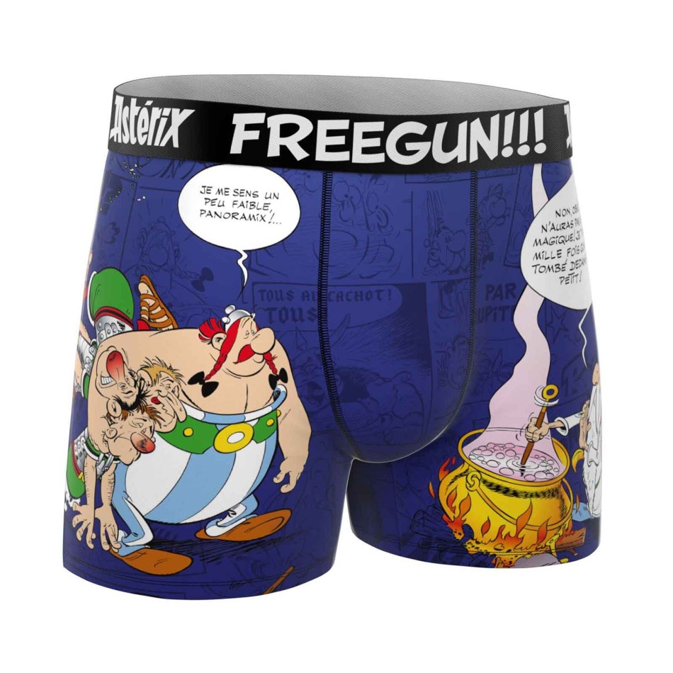 FREEGUN Lot de 4 Boxers Garçon Microfibre "Astérix et Obélix"