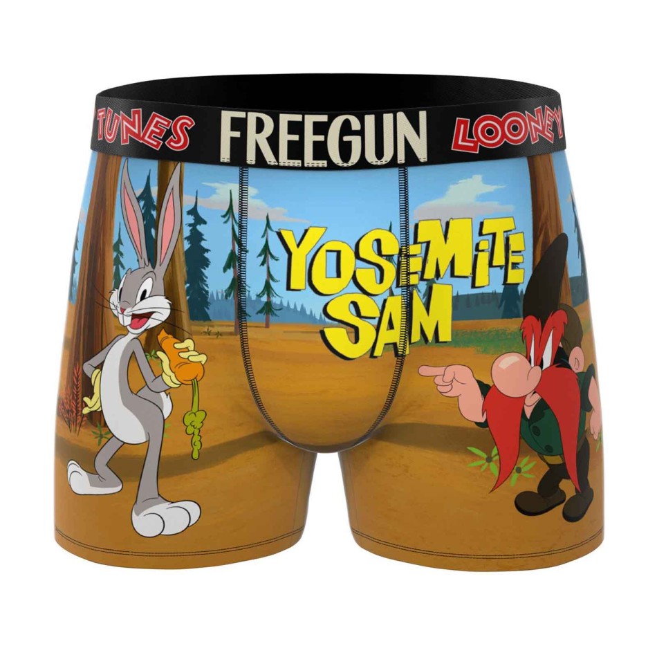 Men's Microfiber Looney Tunes Cartoon Boxers | French Market