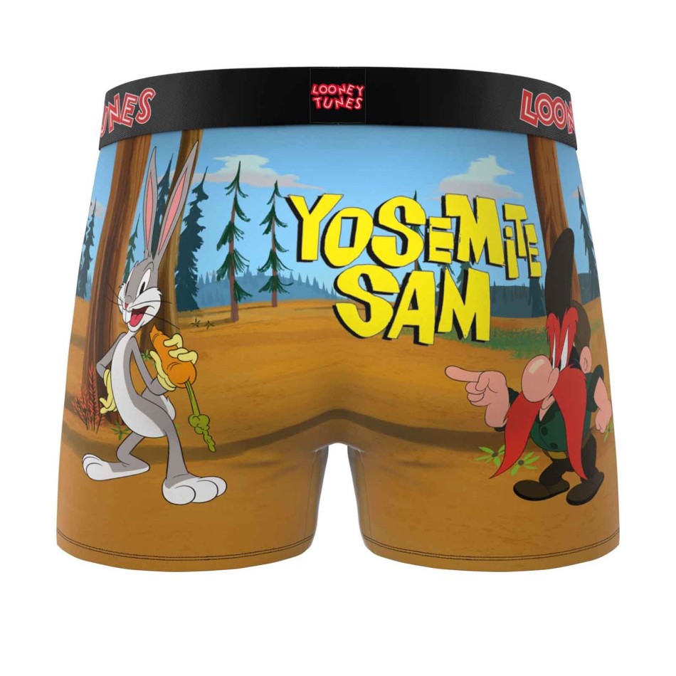 Men's Microfiber Looney Tunes Cartoon Boxers | French Market