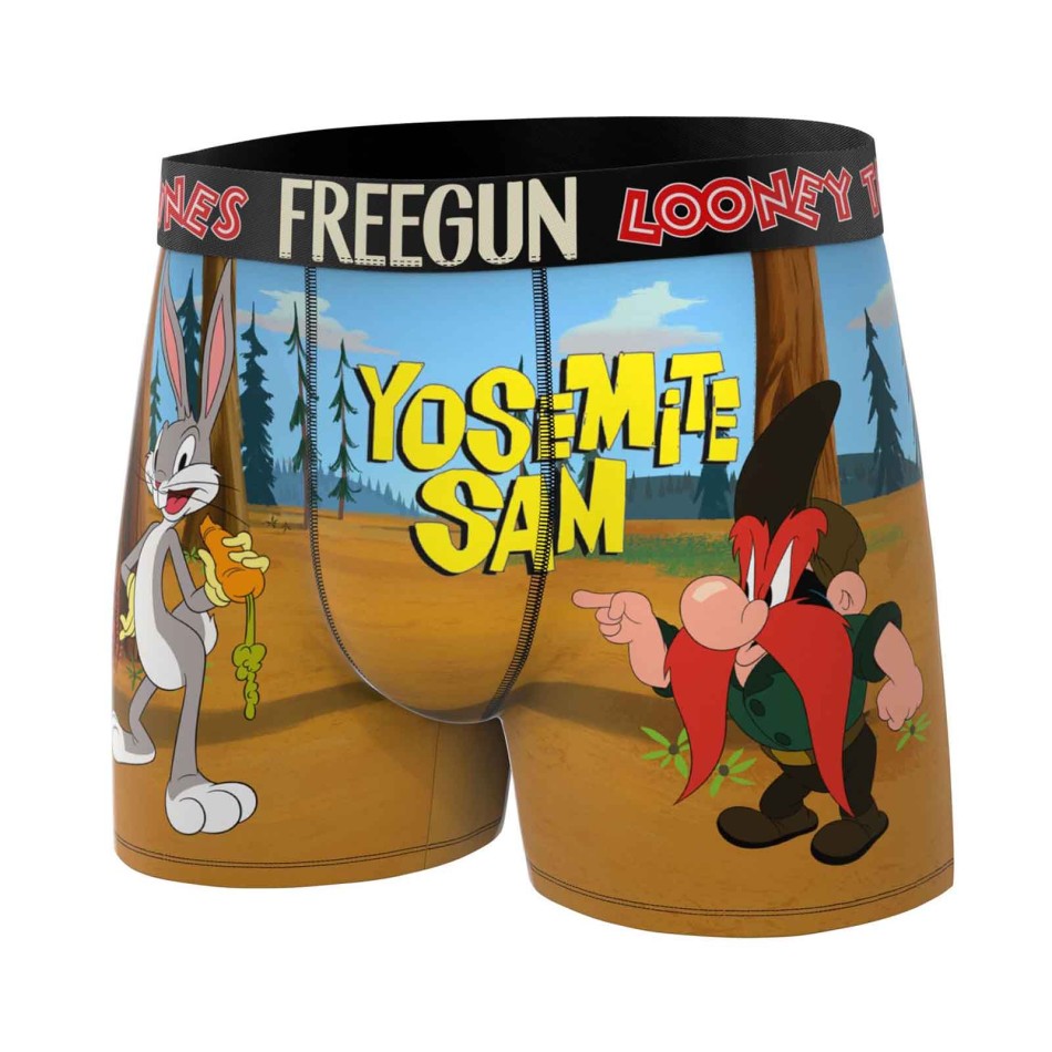 FREEGUN Lot 4 Boxers Homme Microfibre Looney Tunes | French Market