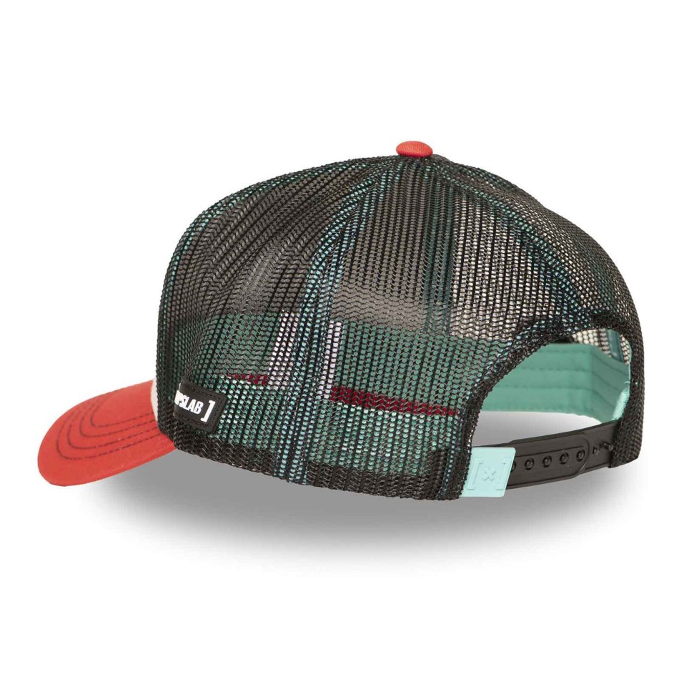 CapsLab Marvin the Martian Looney Tunes cap | French Market
