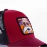 Dragon Ball Z Cap Genius Turtle KAME SENNIN (Caps) Capslab on FrenchMarket