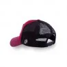 Dragon Ball Z Cap Genius Turtle KAME SENNIN (Caps) Capslab on FrenchMarket